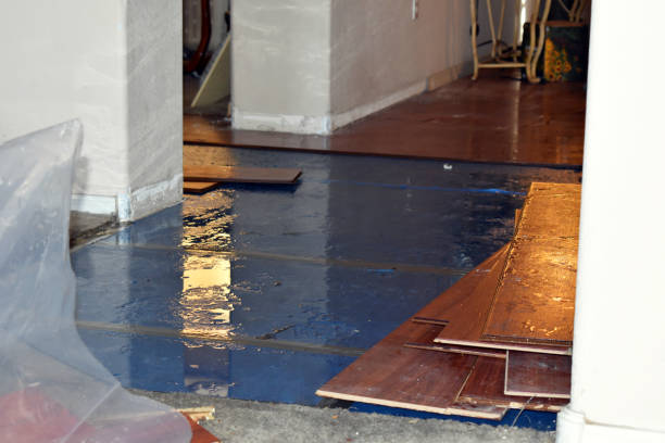 Professional Water Damage Restoration technician working in Brownsboro, TX